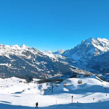 Jolimont-2 By Interhome Grindelwald