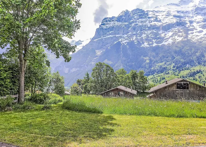 Appartement Jolimont-2 By Interhome