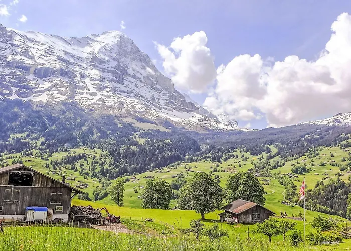 Appartement Jolimont-2 By Interhome