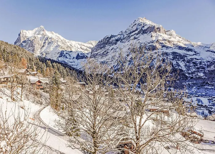 Appartement Jolimont-2 By Interhome *