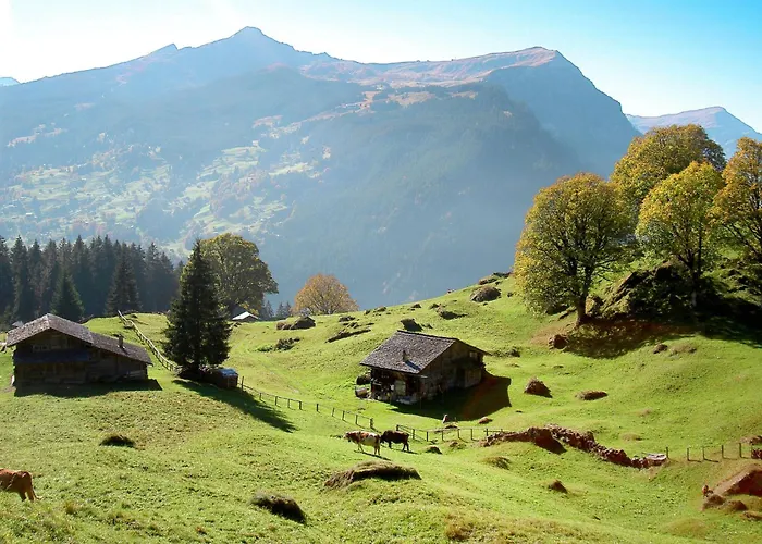 Jolimont-2 By Interhome * Grindelwald