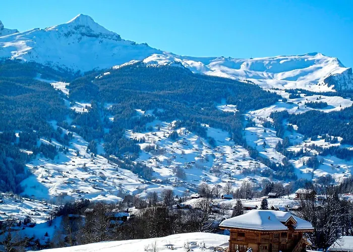 Jolimont-2 By Interhome Appartement *