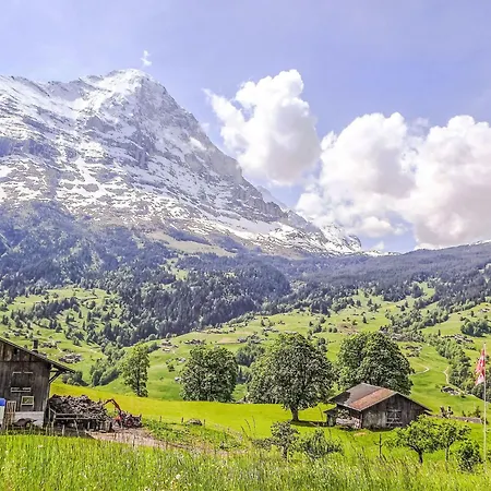 Appartement Jolimont-2 By Interhome